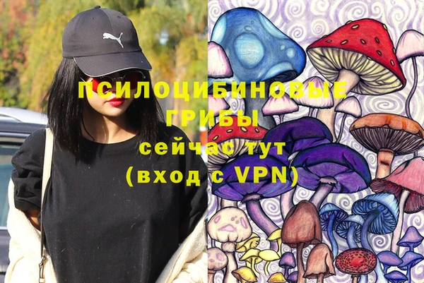 Альфа ПВП Армянск