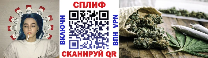 Марихуана план  Купить  Севск 